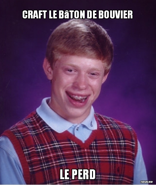 Craft le bâton de Bouvier