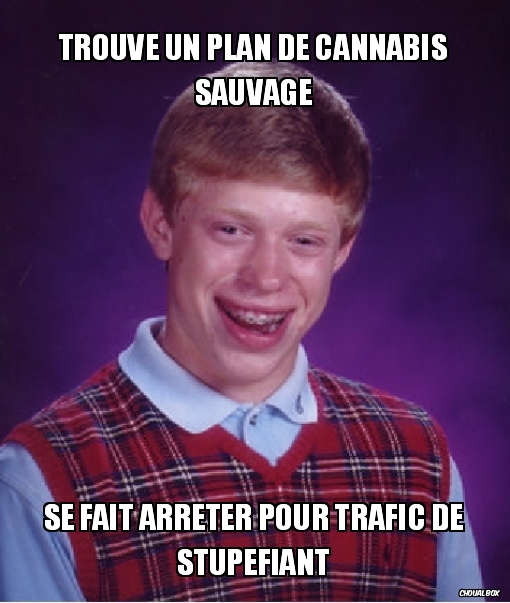 Bad luck weed