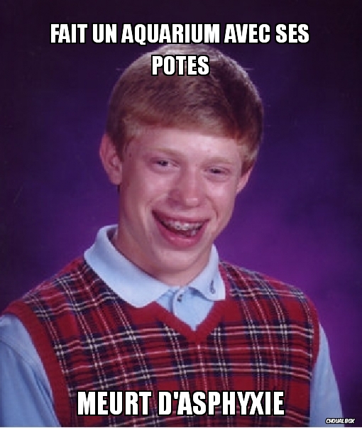 Fait un aquarium avec ses potes