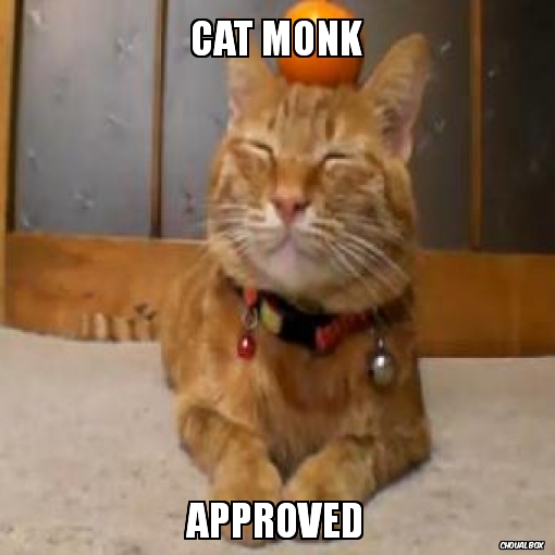 Cat Monk