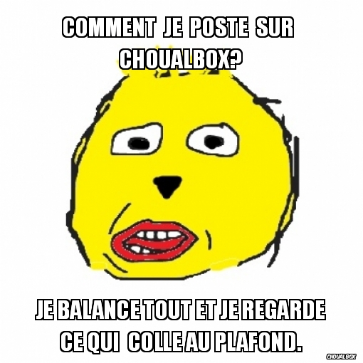 Poster des boxs level newchoual.