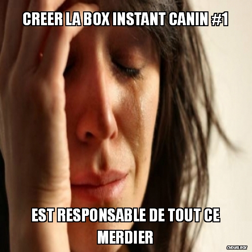 Créer la box instant canin #1