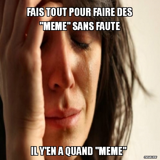 Fais tout pour faire des \"meme\" sans faute