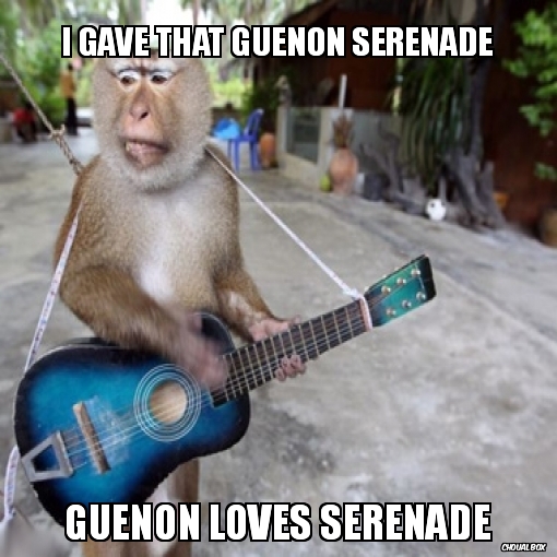 I gave that guenon Serenade