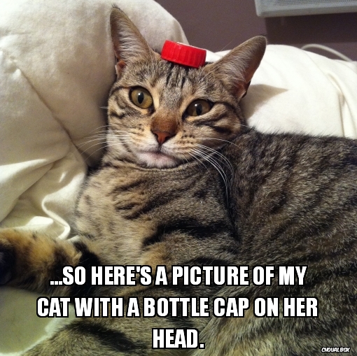 I have no idea what you\'re talking about...