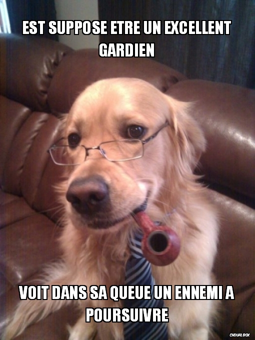 Est supposé être un excellent gardien