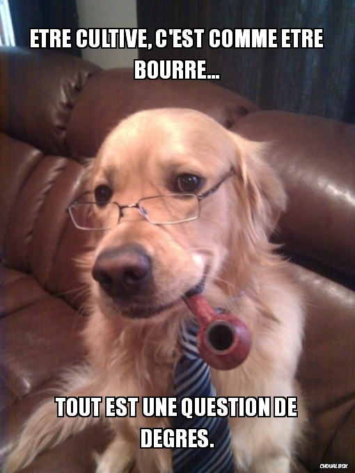 Etre cultivé, c\'est comme être bourré...