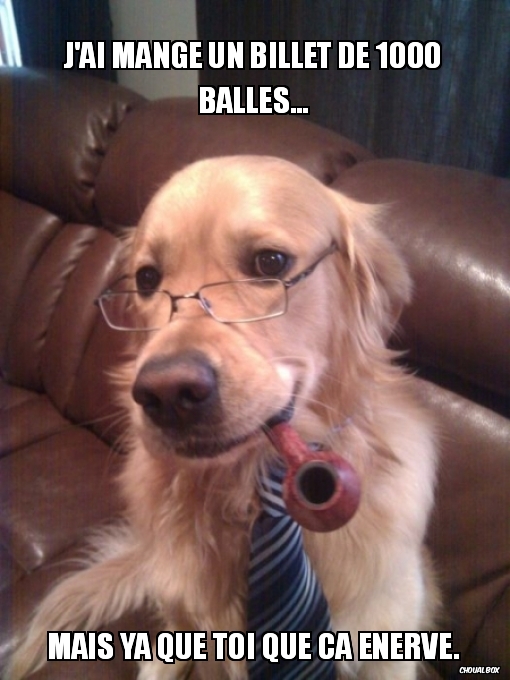 J\'ai mangé un billet de 1000 balles...