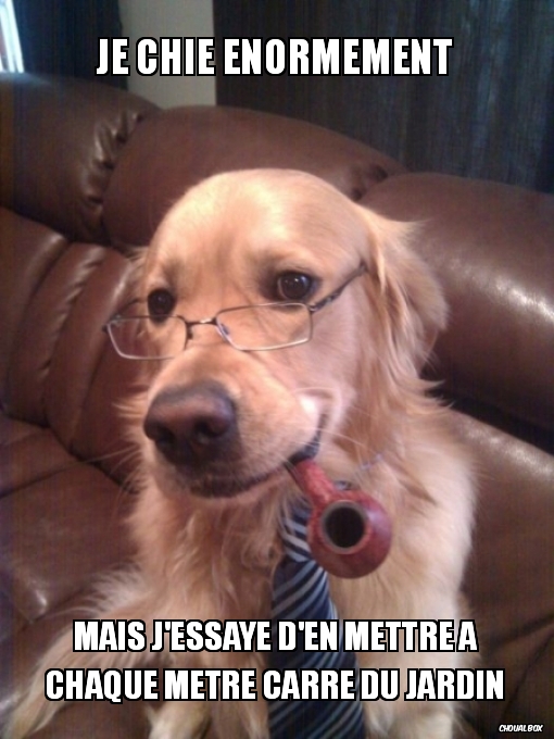 Je chie énormément