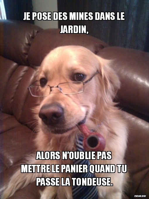 Je pose des mines dans le jardin,