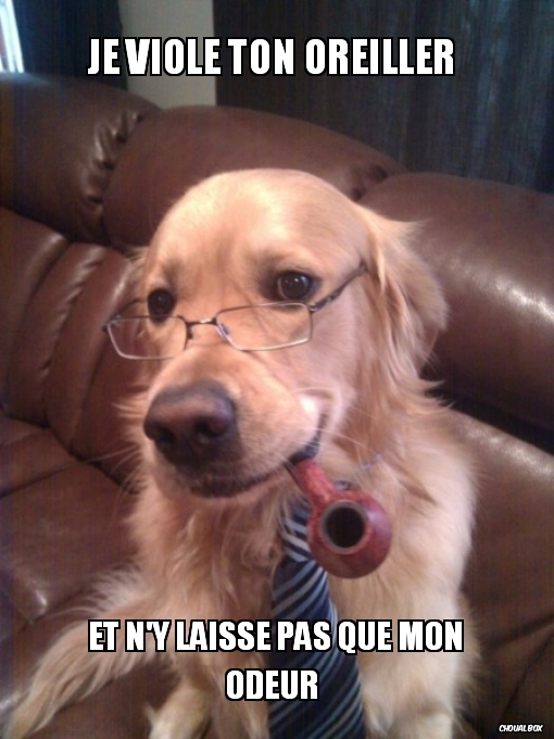 je viole ton oreiller 