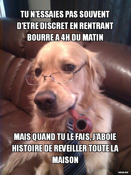 Tu n\'essaies pas souvent d\'être discret en rentrant bourré