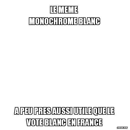 Le vote monochrome.