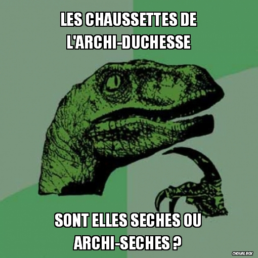 Les chaussettes de l\'archi-duchesse