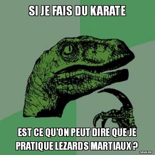 Si je fais du karaté