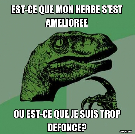 Une histoire d\'herbe