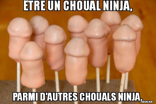 Être un choual ninja,