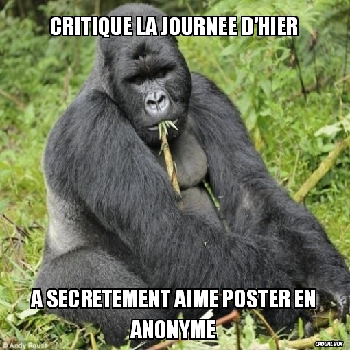 Critique la journée d\'hier