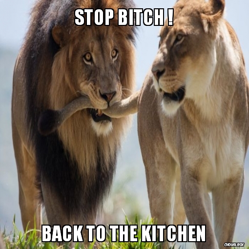 STOP BITCH !
