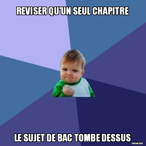 Reviser qu\'un seul chapitre