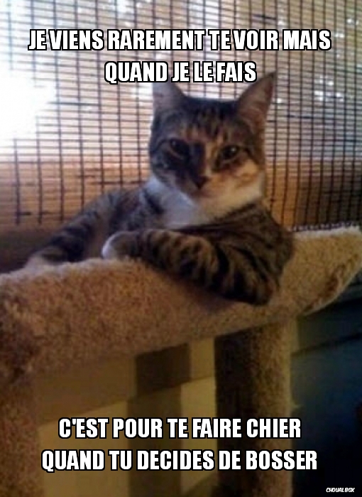 Je viens rarement te voir mais quand je le fais