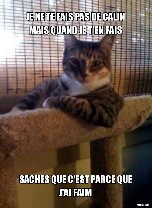 Ronronronron miammiam