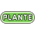 Type Plante
