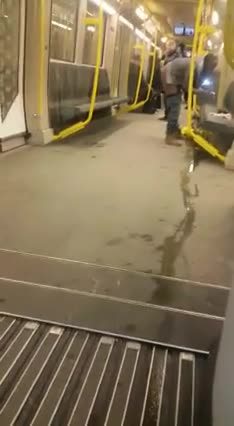 Enrichissement culturel