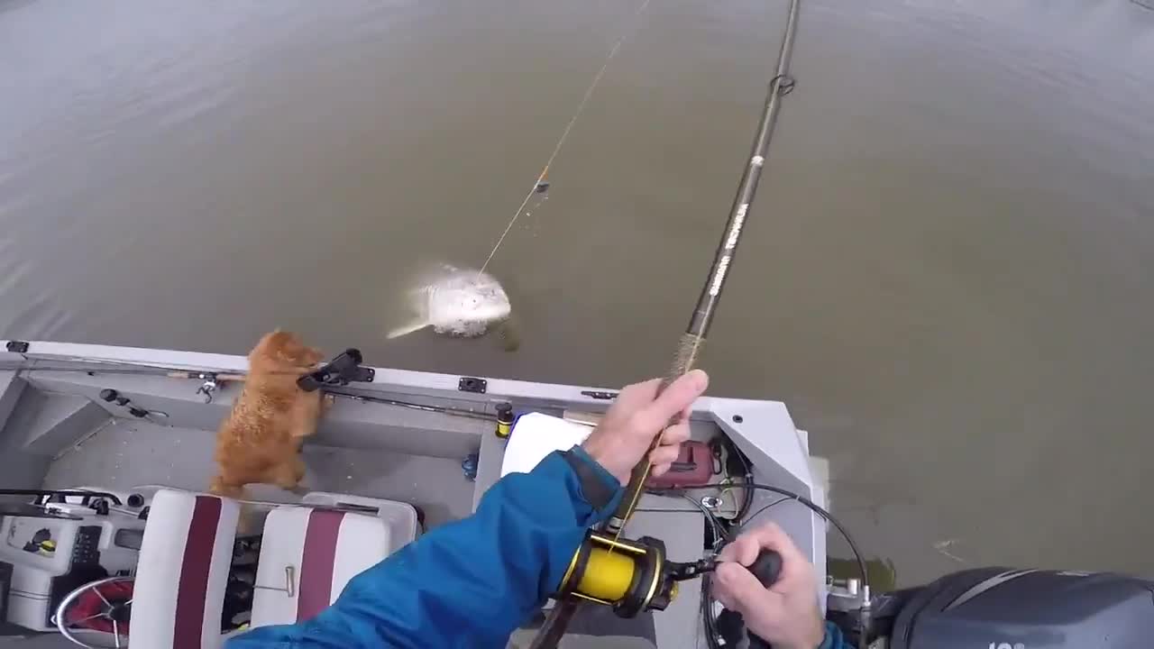 Il avait besoin d'un plus gros bateau.