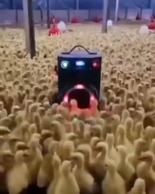 Ce soir c'est le weekend