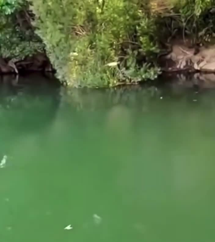 You're Gonna Need a Bigger Boat