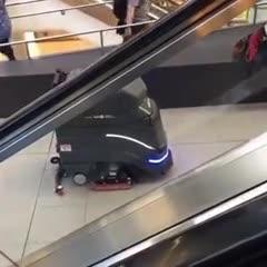 Le grand remplacement