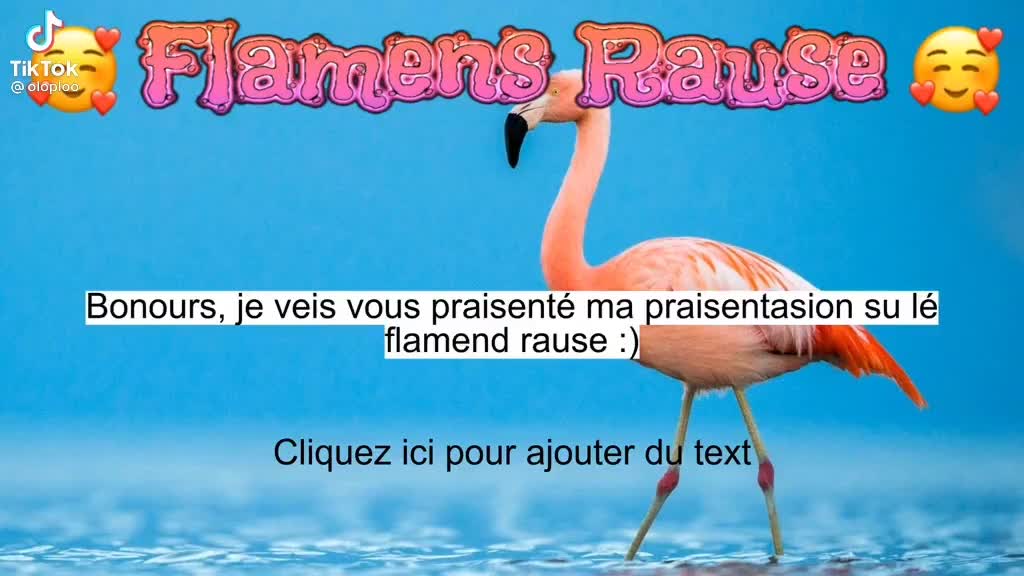 j'ai 12 ans, début de la puberté.Voici une présentation du flamant rose.