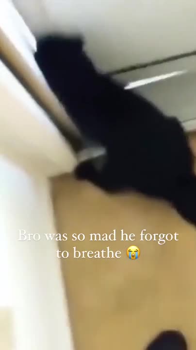 Il était determiné à la base