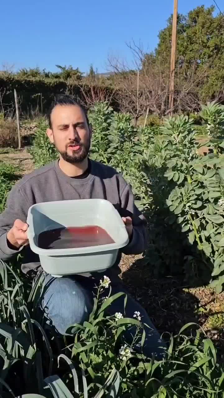 Quand l'évolution permet aux femmes de passer de la kouisine au potager !