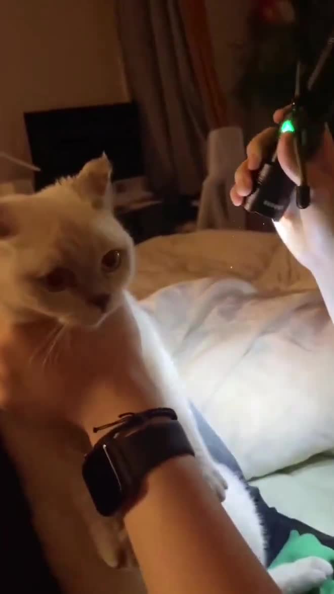 Preuve qu'ils sont envoyés des enfers.