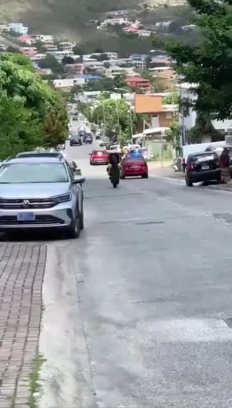 Franchement chapeau!