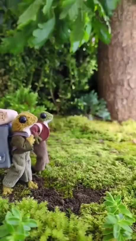 Le camping de Monsieur et Madame Grenouille 🐸