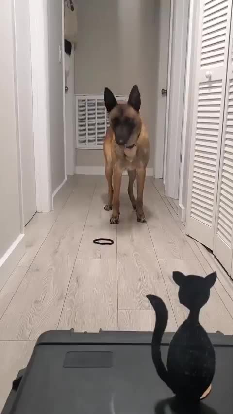 Vas y nique  lui sa race