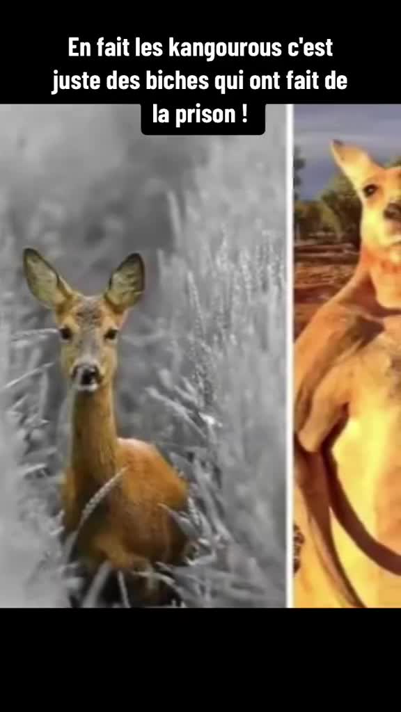 Si on réfléchit bien...