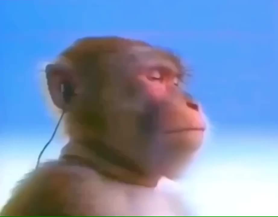 Une onzième année !