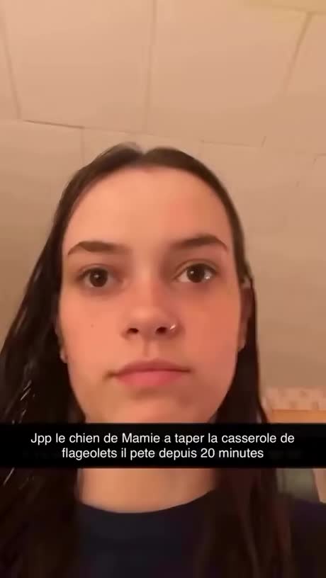 Dogo and the cassoulet à mamie