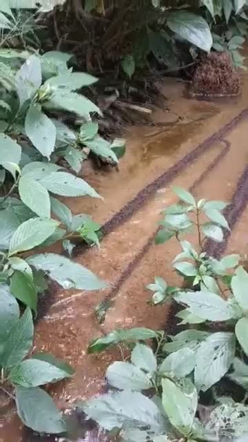 Clairement un travail de fourmi