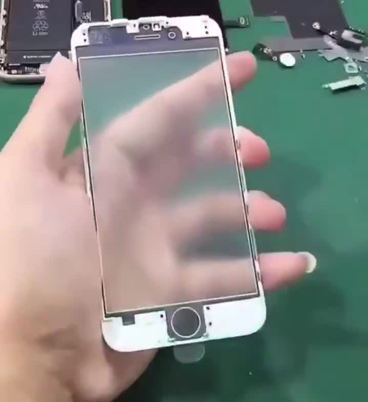 Le choual intelligent retire le film polarisant de son téléphone pour le mettre sur ses lunettes afin de profiter du g/sexy en public.