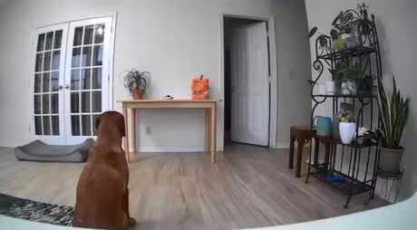 La fourberie et la traitrise incarnées