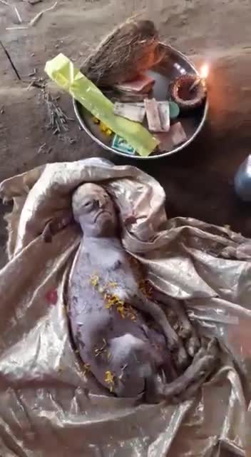 Une chèvre née en Inde avec une tête à &quot;forme humaine&quot;