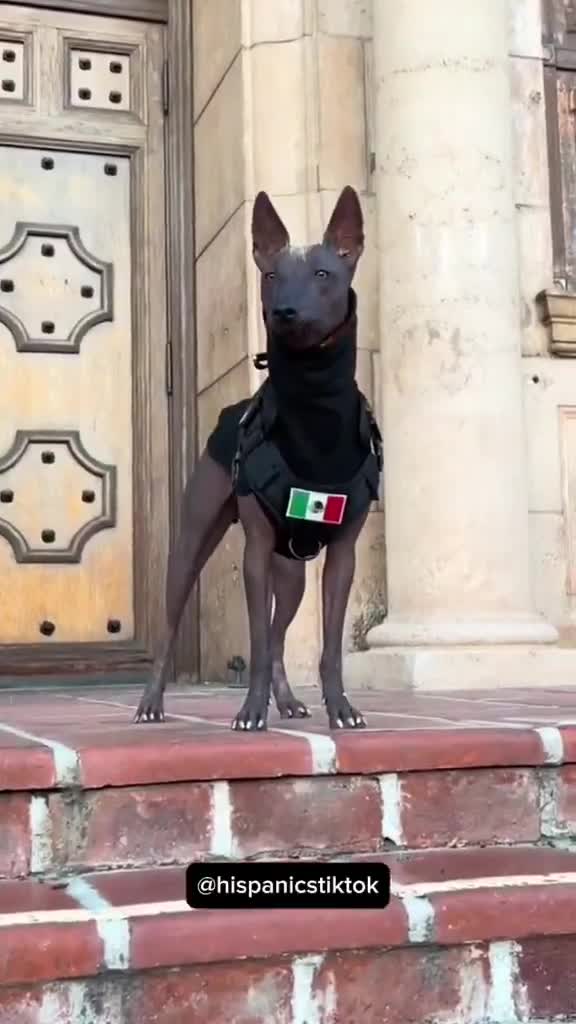 Mais vous pouvez m'appeler Boby.