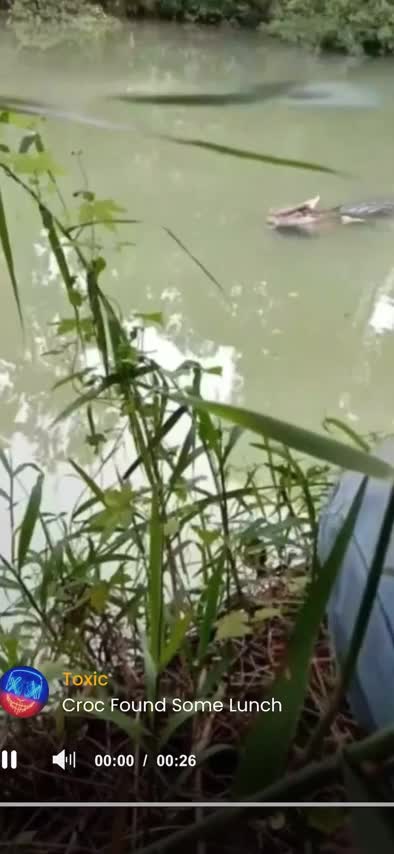 C'est le pied ce petit encas