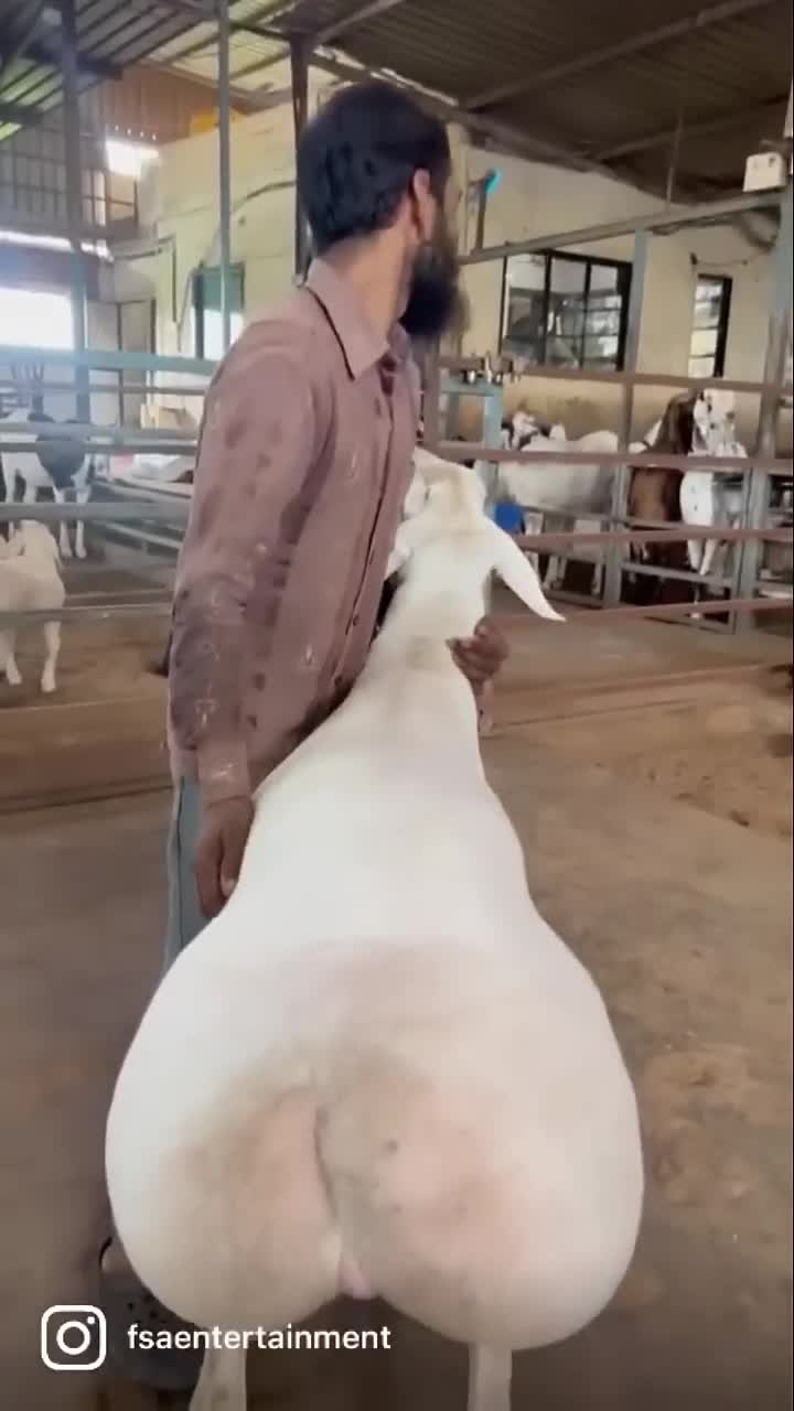 Pas sûr qu'elle rentre dans son maillot cet été