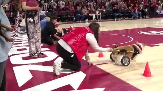 Il n'a peut-être pas gagné la course, mais il a gagné le cœur du public